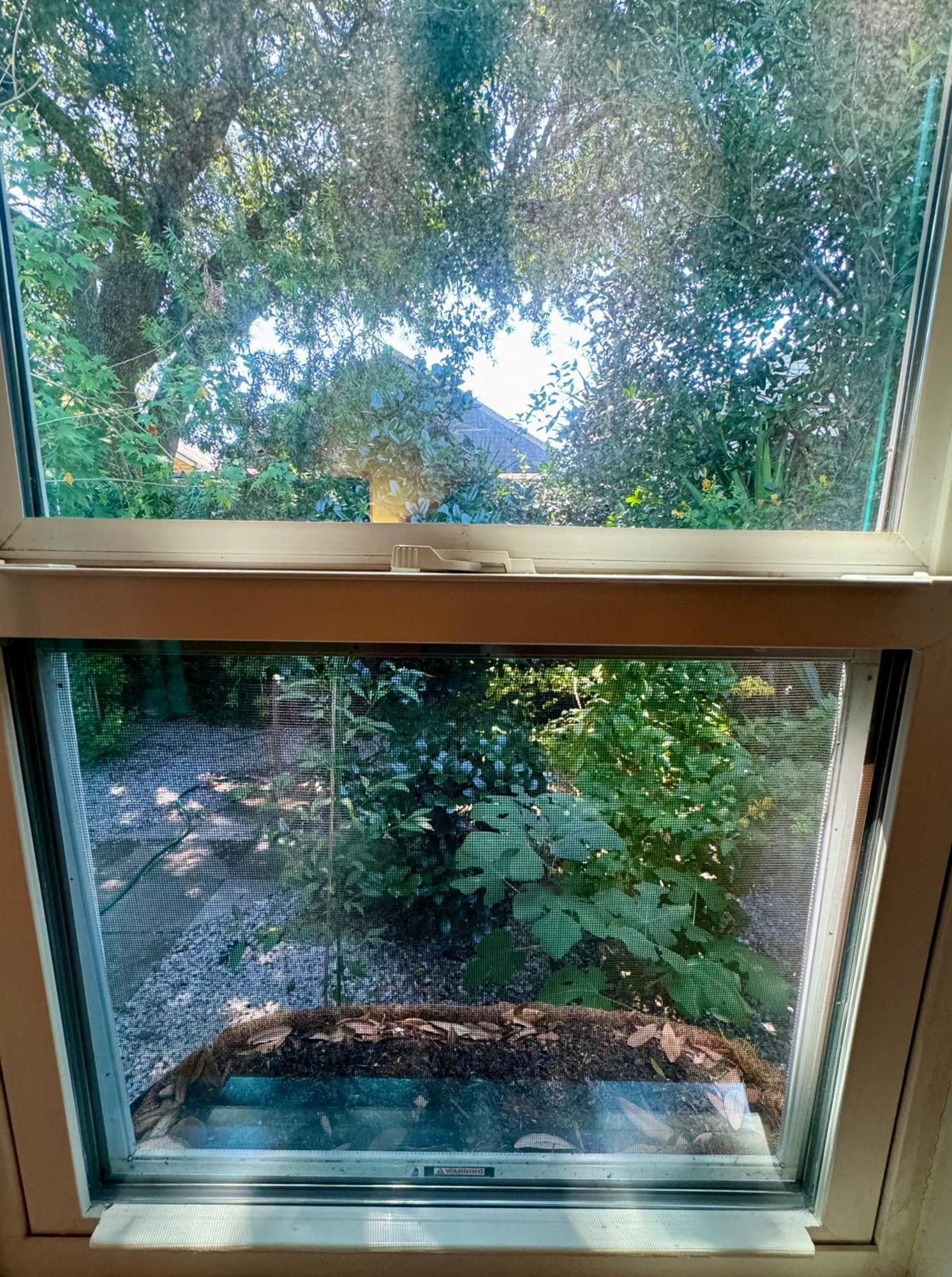 One Bedroom Apartment With Hot Tub 2 Blocks To Magazine Street 뉴올리언스 외부 사진